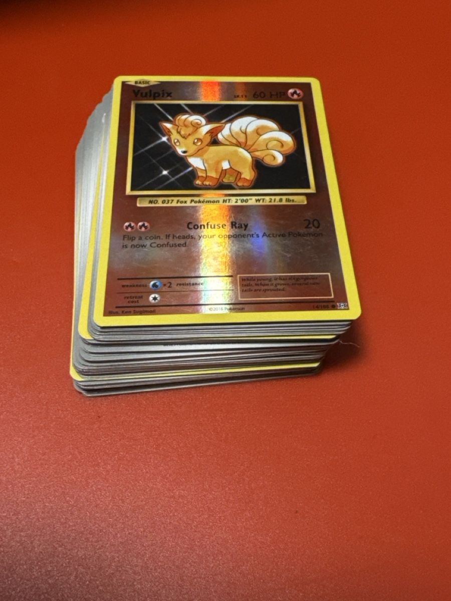 Pokémon Carte collezionabili: Pokemon Bulk collection  – Nuovo (secondo la descrizione) da Volketswil venduto da kev_8cfn 1