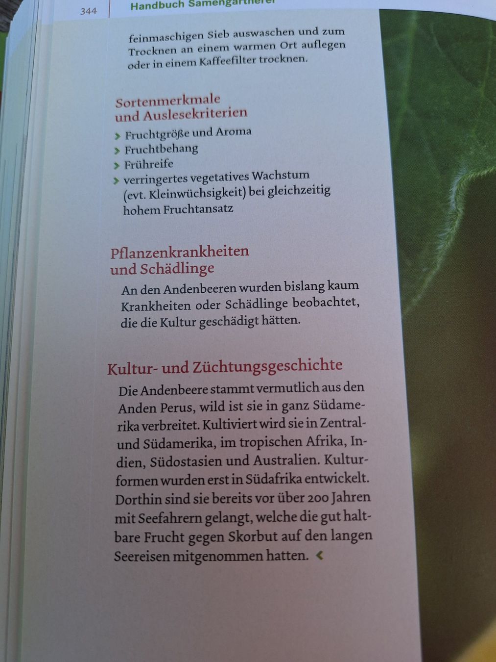 Bücher: Handbuch Samengärtnerei & Bio-Gemüs -  2 Bücher – Gebraucht aus Huttwil von Kunterbuntli 8