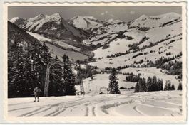 Col des Mosses -  Skilift Lécherette