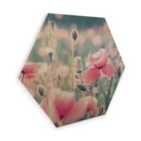 Hexagon Holz Mohnblumenmomente 75x65c (neu, UVP 134.00 Fr.)
