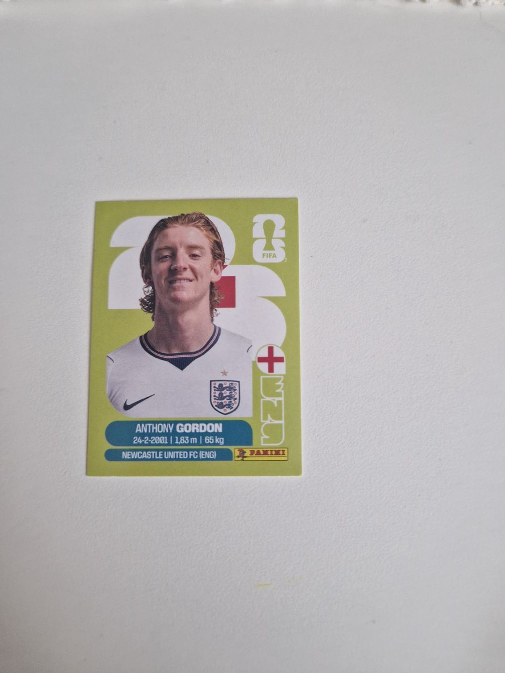 Panini Cartes à collectionner: Panini Sticker ENG15 – Neuf (Voir description) à Stüsslingen par white_angel86