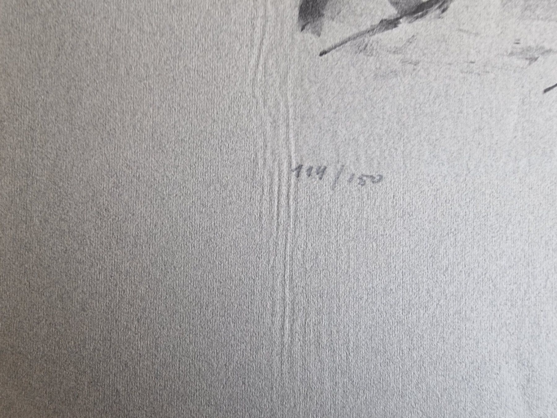 Grafiken & Lithographien: GRAF ERNST LITHOGRAPHIE SIGNIERT NUMMERIERT – Gebraucht aus Gersau von grafik-kunst 4