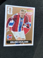 Panini FIFA Erling Haaland Extra Sticker