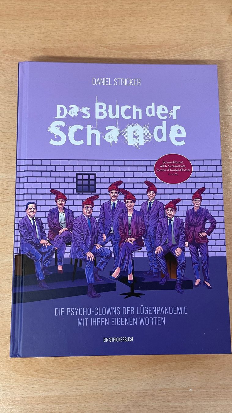 Livres: Das Buch der Schande - Daniel Stricker - Hardcoverversion – Neuf (Voir description) à Glattfelden par cybermaxx