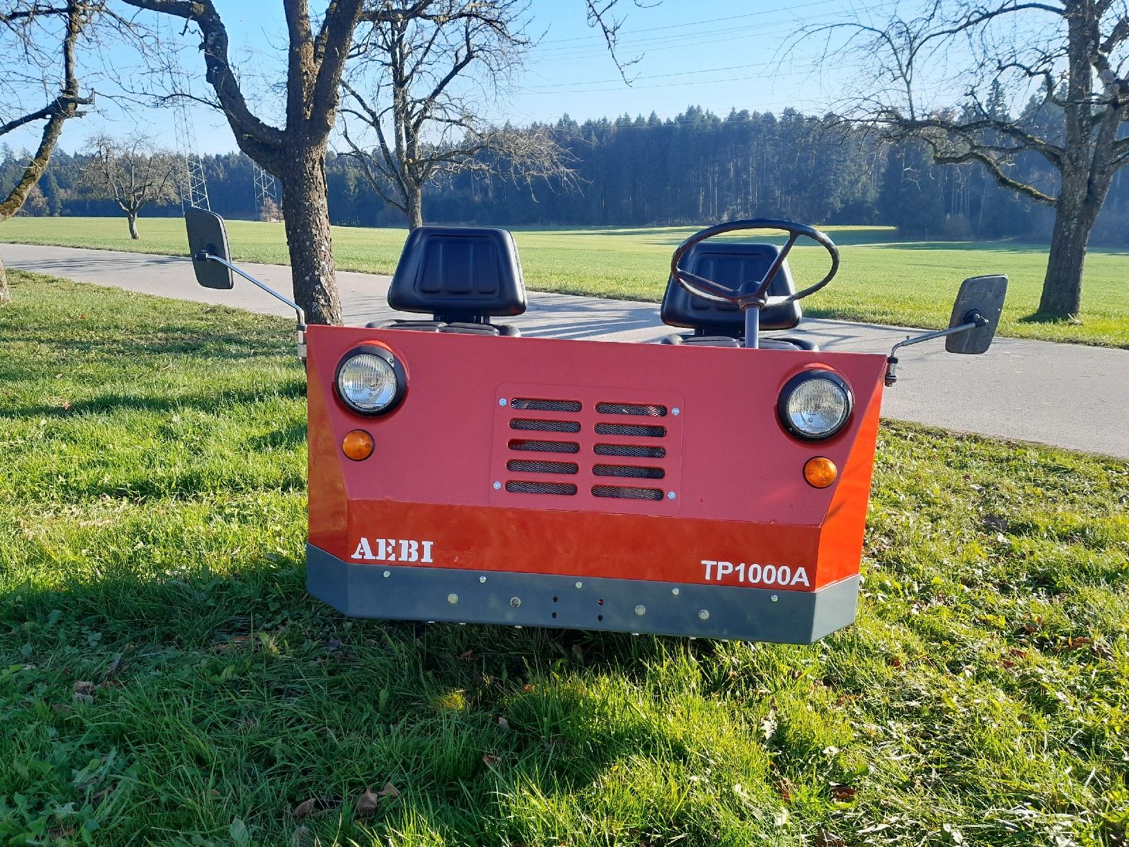 Aebi Trattori: Aebi Transporter TP1000A – Usato da Gunzwil venduto da Toblerheinz 2