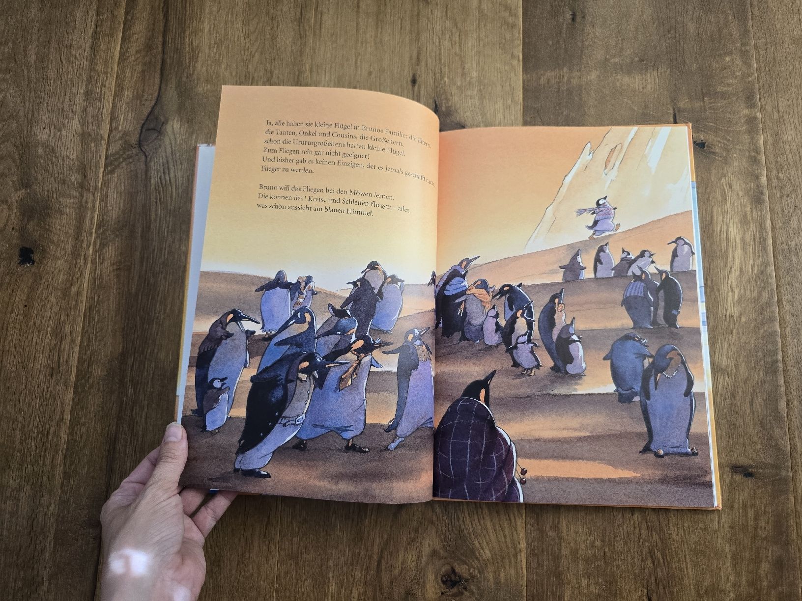 Libri: Bilderbuch "Und ich will Flieger sein" Anette Bley  – Usato da Wittenbach venduto da Tigerlili 5