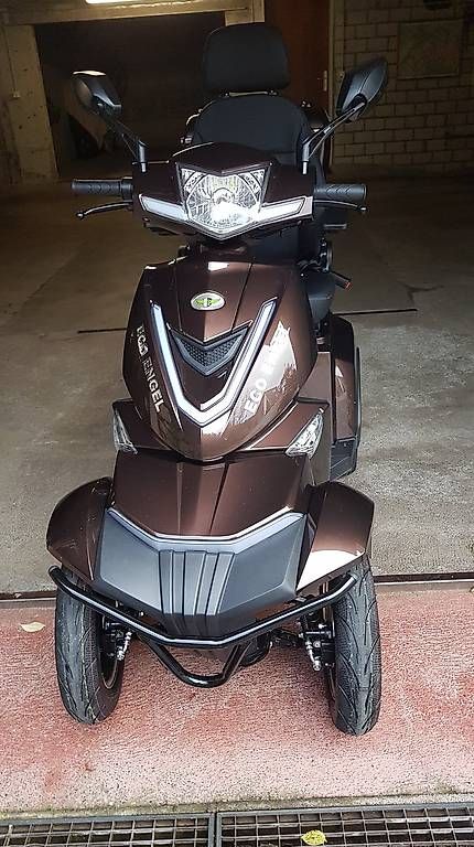 Scooters: - Elektroroller - – D'occasion à Schöftland par hay_6lns 1