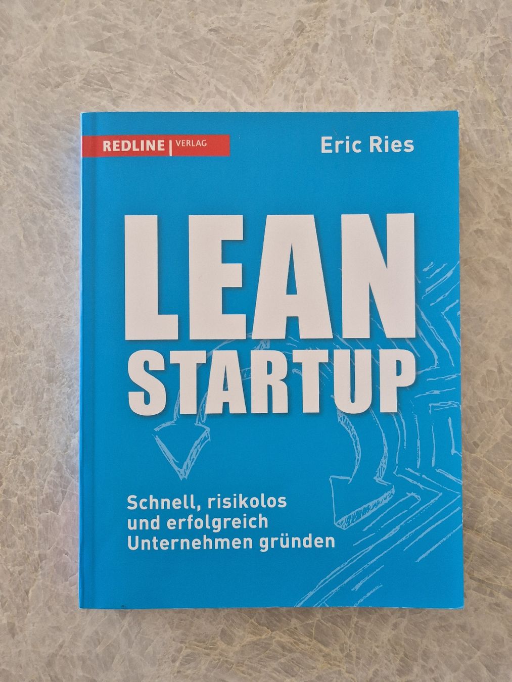 Libri: Lean Startup von Eric Ries – Usato da Rebstein venduto da kenobi14