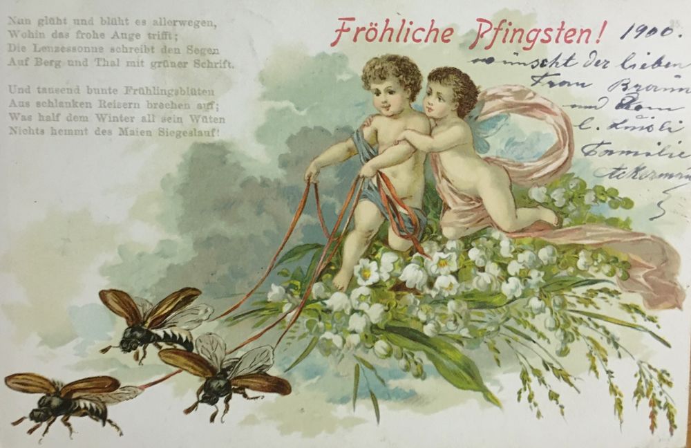 German Greetings Postcard -Couples,Fröhliche Pfingsten / Happy