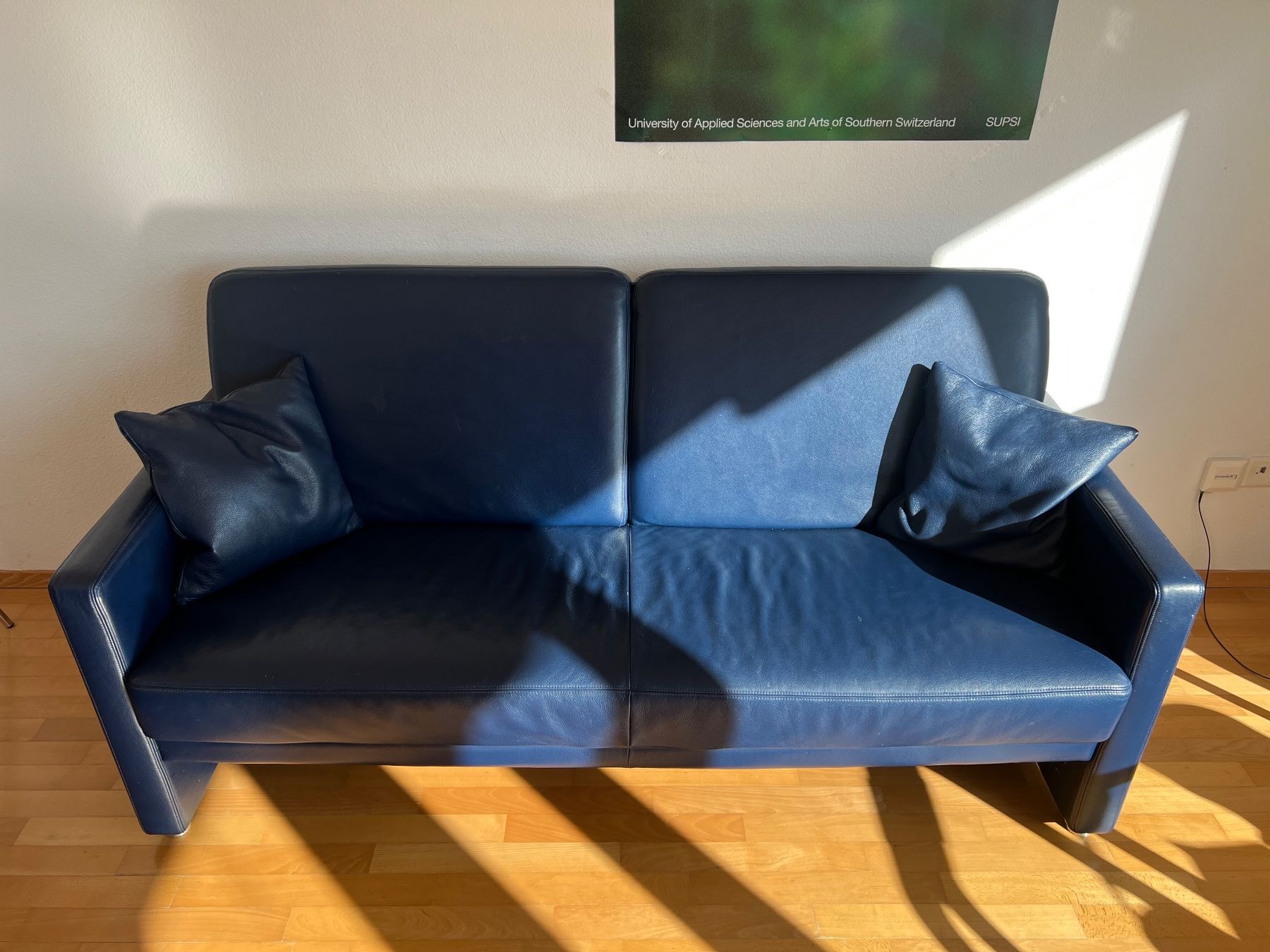 Divani: zwei Designer Ledersofas – Usato da Zürich venduto da oli_l6ps 2