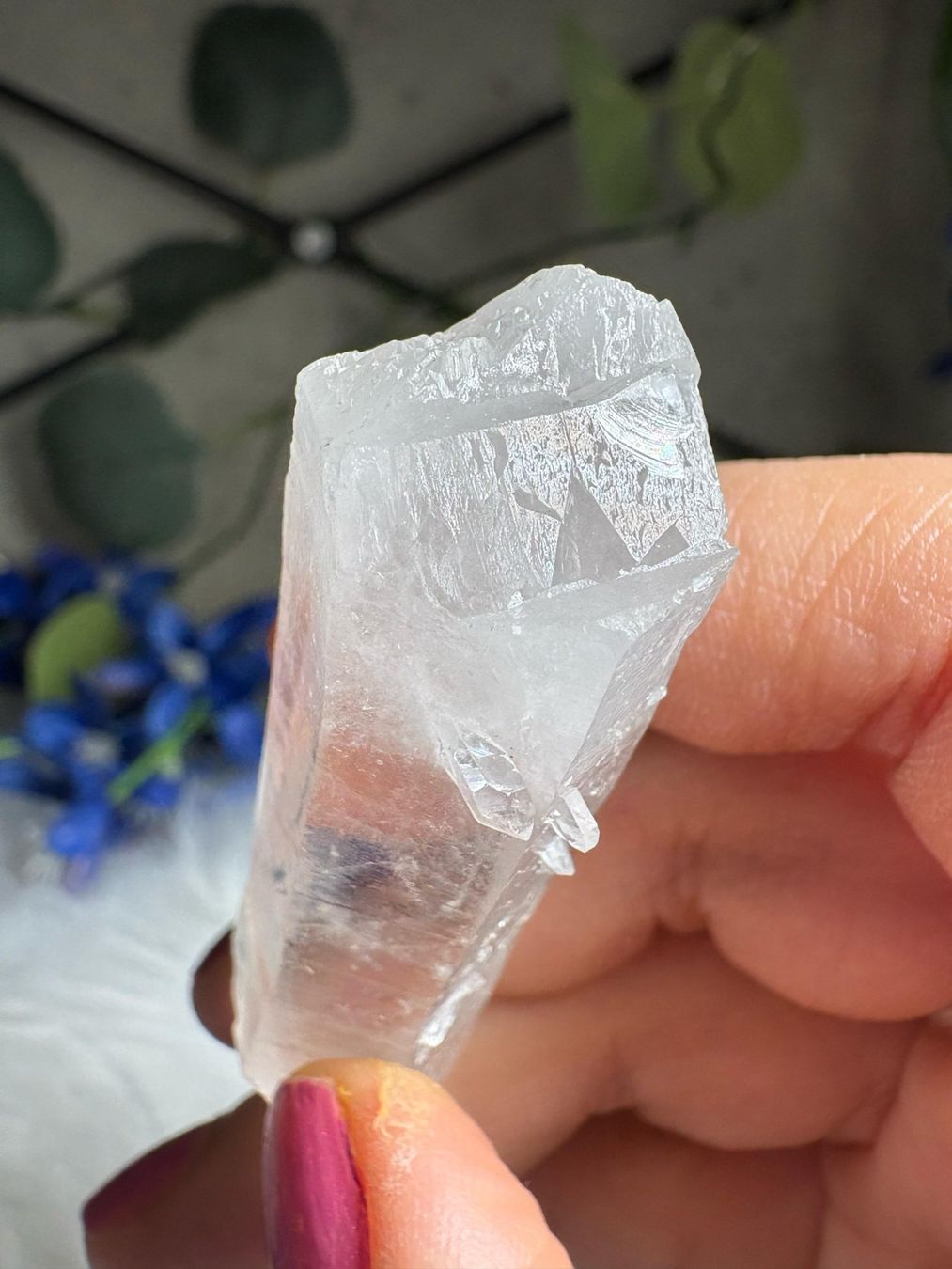 Mineralien & Heilsteine: Kolumbianischer Lemurian-Quarz-Cluster – Neu (gemäss Beschreibung) aus Neuheim von m.hald 2