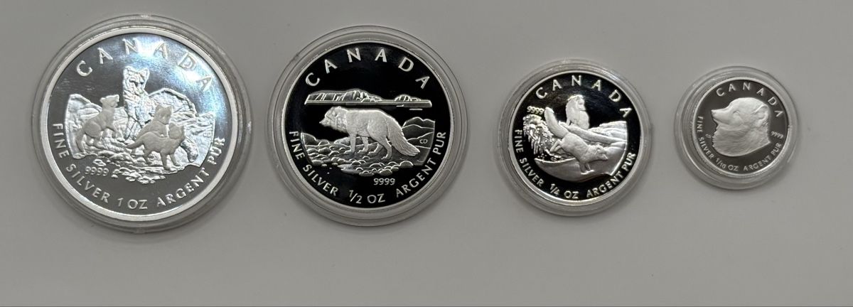 Tutti le monete: 2004 Kanada Arctic Fox Silbermünzen-Set – Usato da Zürich venduto da Circle-9-Coins 1