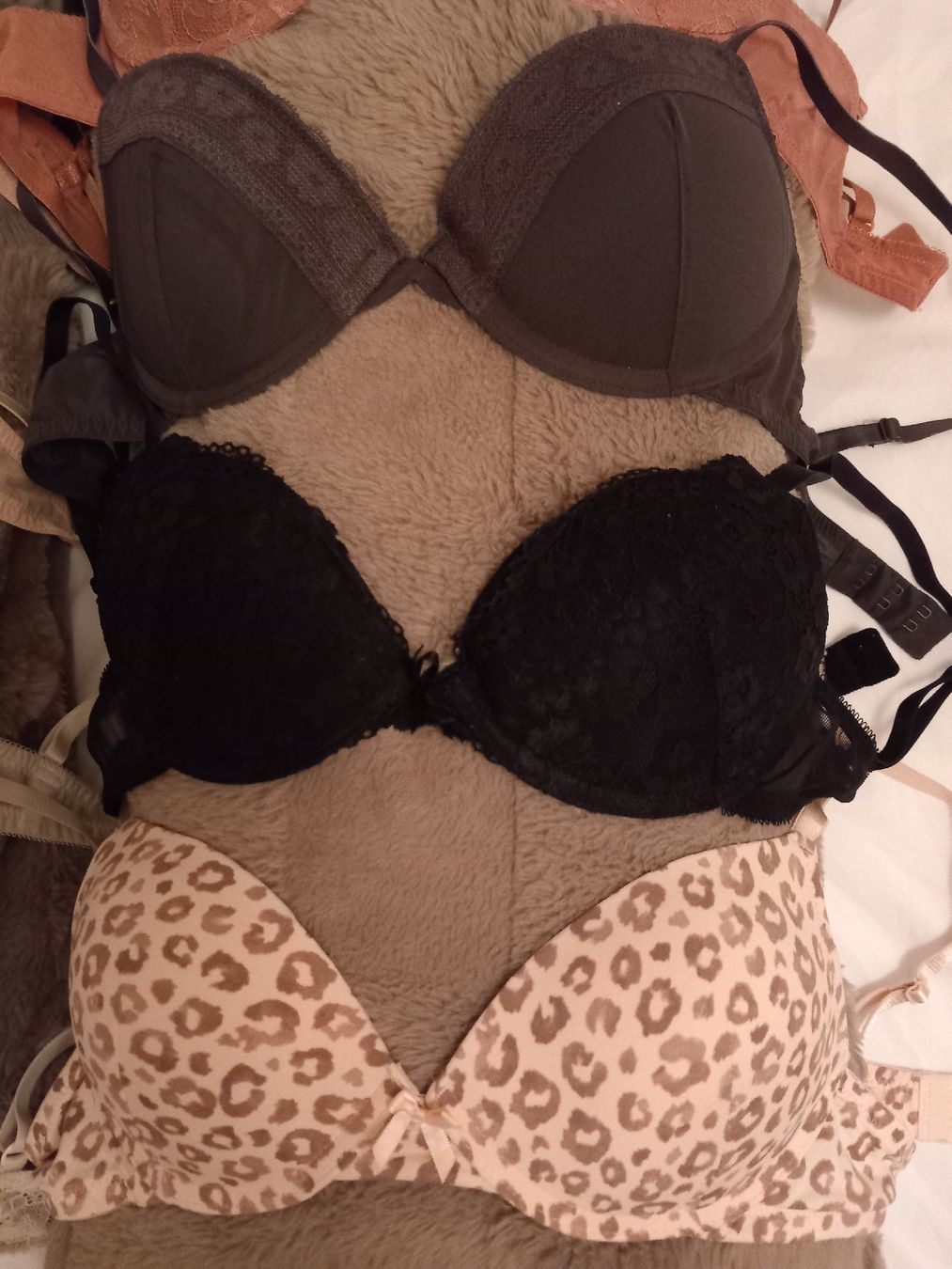 Altra biancheria intima: BH - Paket, 8 Stück, 75 B – Usato da Wanzwil venduto da lonelybeachhouse 2