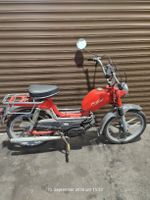Sachs KTM Defekt 