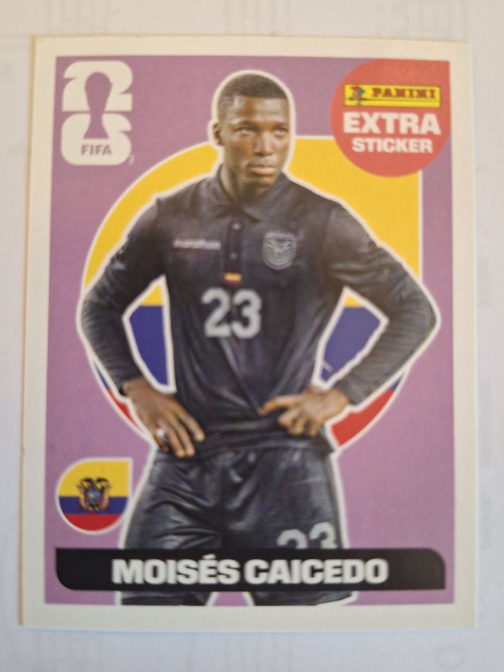 Panini Carte collezionabili: Panini Extra Sticker Moises Caicedo WM 2026 – Usato da Lyss venduto da Resi92