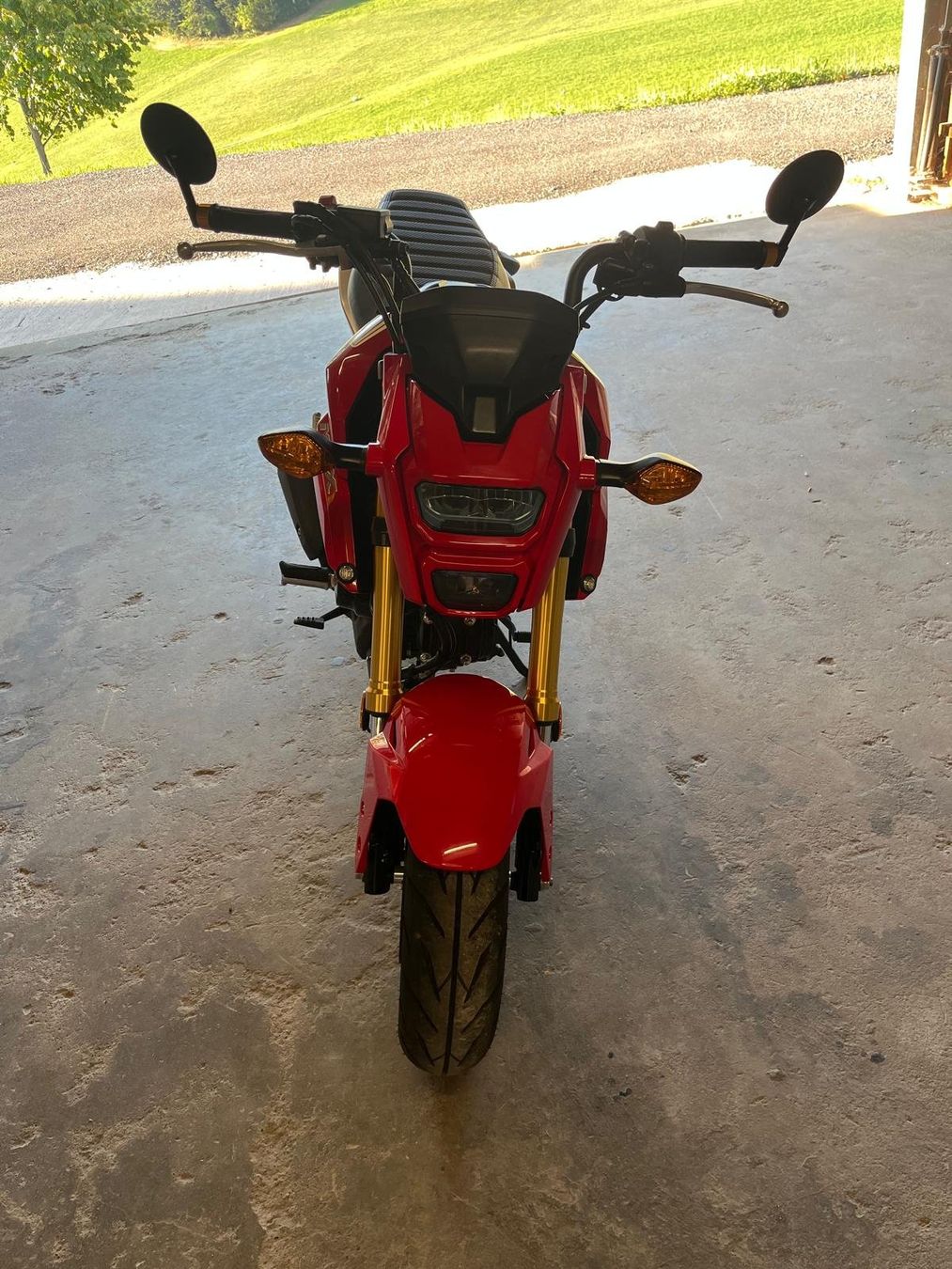 Honda Route: Honda MSX 125 – D'occasion à Arni BE par marielouise64 2