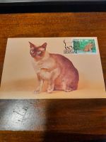 Chat du Dzánani: Carte postale rare avec timbre!