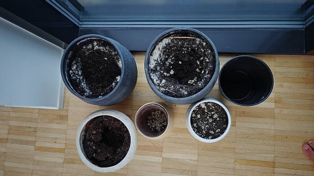 Pots de fleurs: Blumentöpfe  6er-Set – D'occasion à Solothurn par bor_k2fm 2