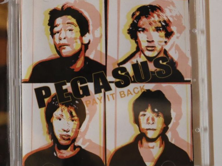 CDs: PEGASUS Band - Seltene CD's – Gebraucht aus Aarberg von umearocks 2