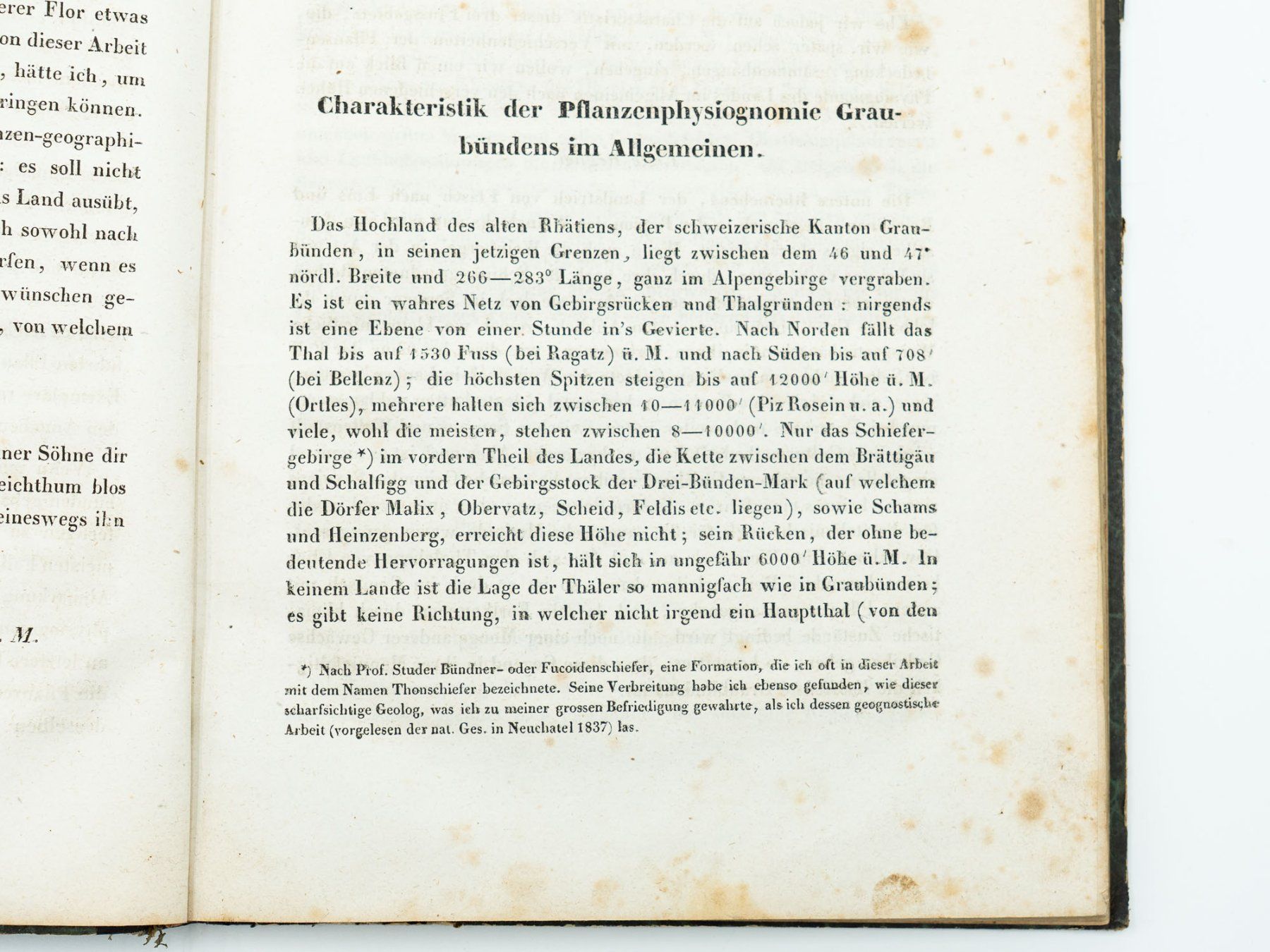 Libri: Antiquarisches Buch "Botanik Graubünden" - 1839 - Ref. 06/25 – Usato da Au ZH venduto da BrockiAu 4
