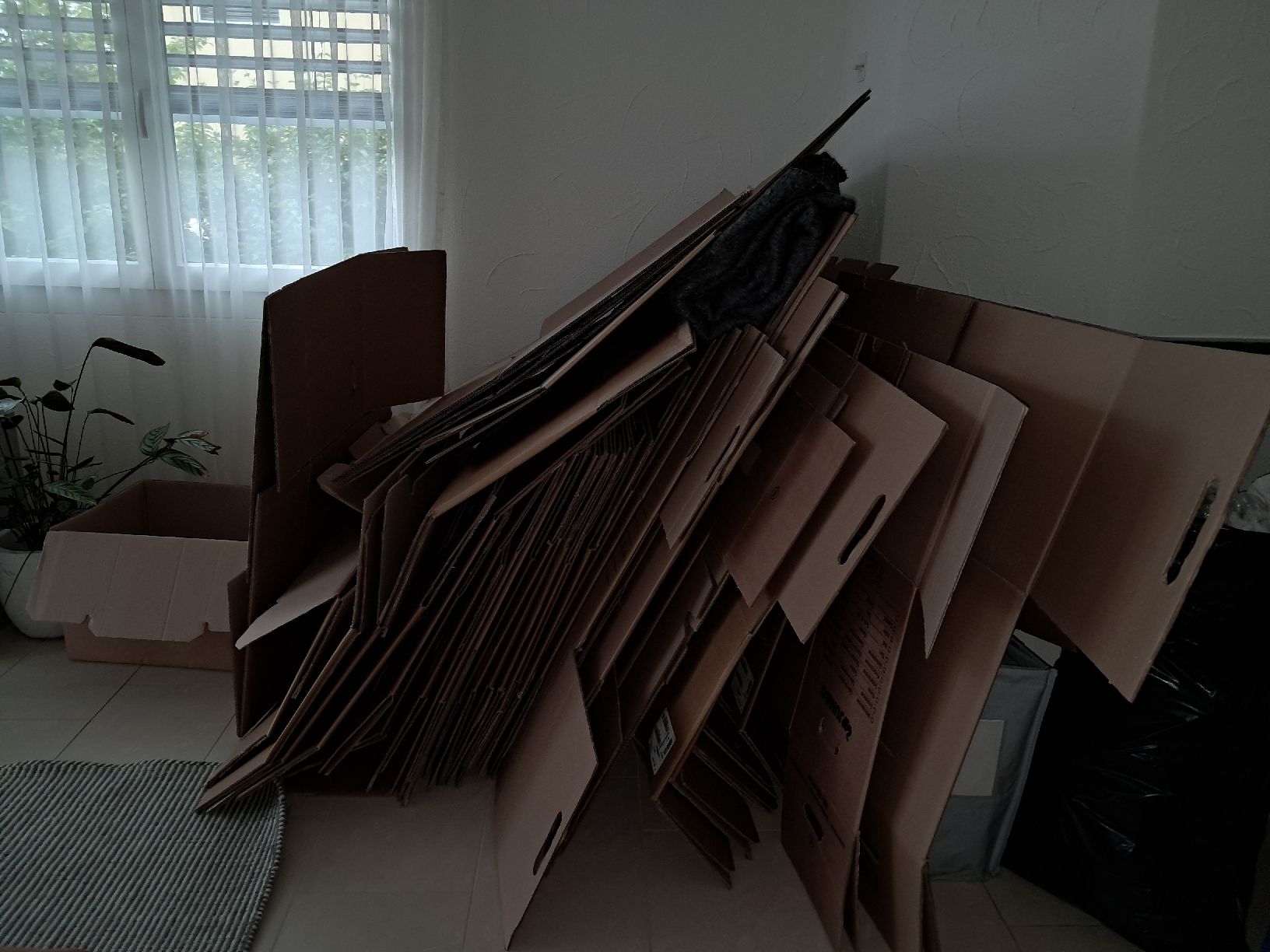 Cartons: Umzugskartons – D'occasion à Oberägeri par Blackjack6
