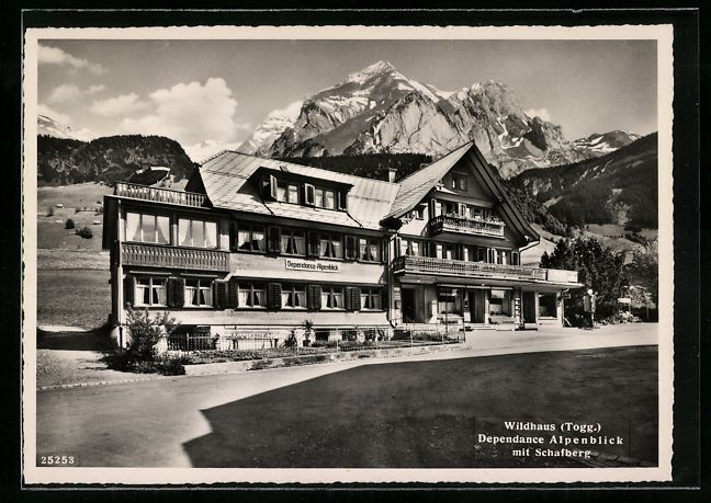 Cartoline postali: Wildhaus, Dependance Alpenblick mit Scha – Usato da Berlin venduto da bartko-reher