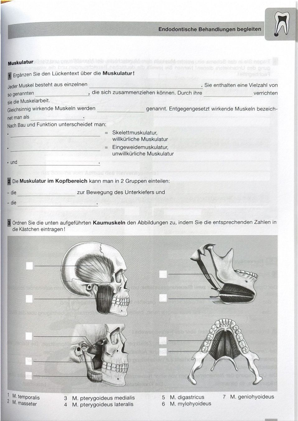 Libri: Schubert, Arbeitsbuch zur Zahnmedizinischen Assistenz – Nuovo (secondo la descrizione) da Sarnen venduto da Livres 5