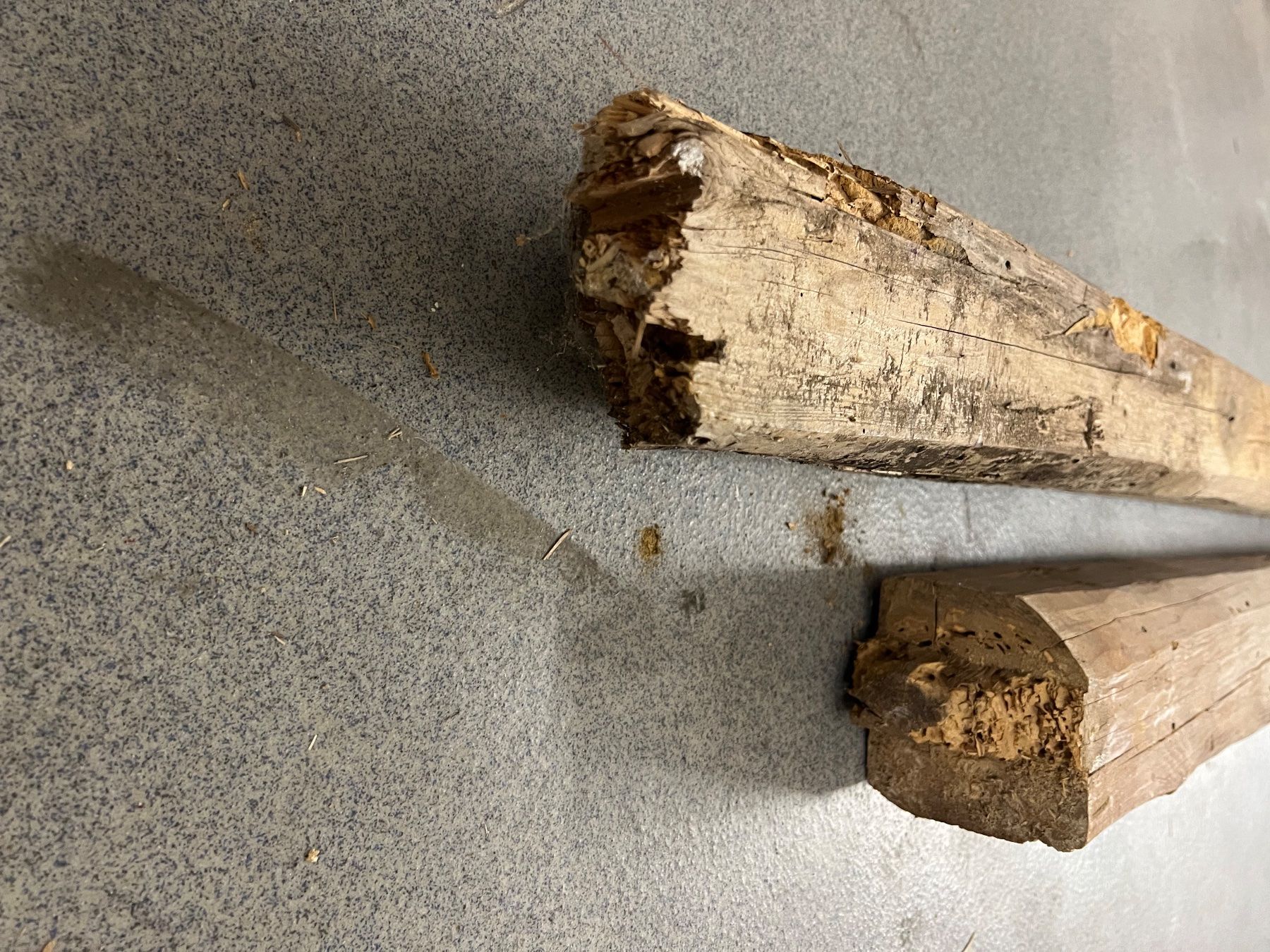 Articoli in legno: 100 Jahre+ Holzbalken – Usato da Zürich venduto da pamleano 1