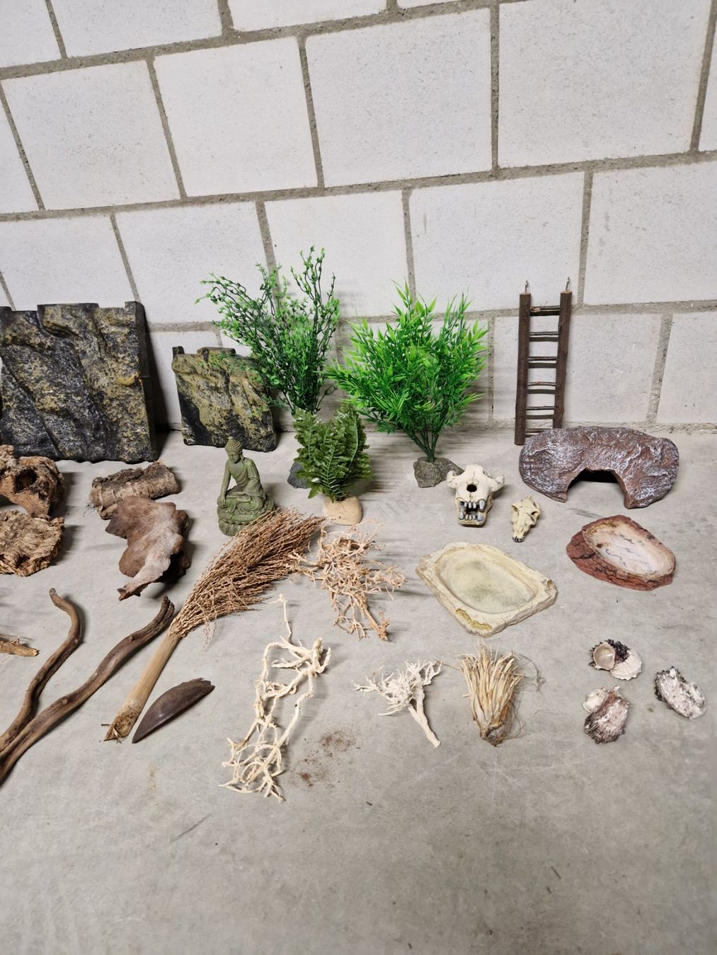 Exo terra Terrario: Terrarium zu Verkaufen – Usato da Niederönz venduto da nydi65 4