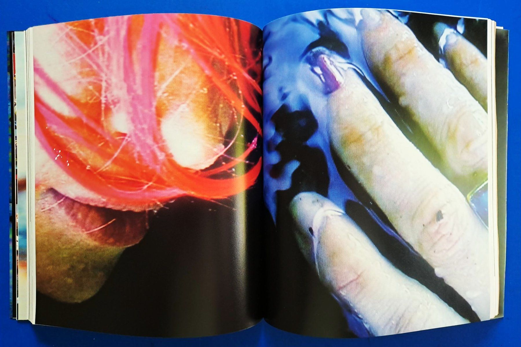 Libri: PIPILOTTI RIST Erstausgabe 2001 Phaidon TOP – Usato da Zürich venduto da archiphil 6