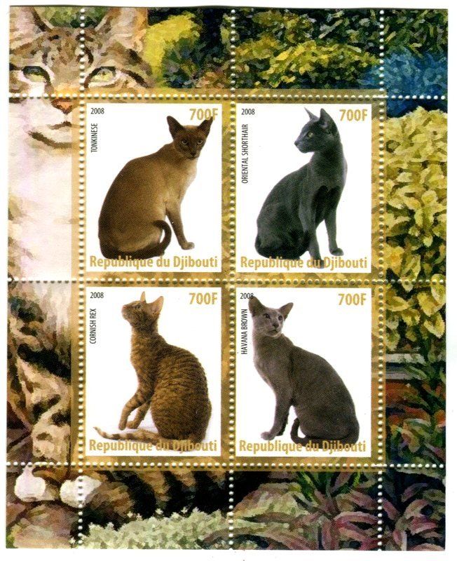 Tutti i francobolli: Block "Katzen". Dschibuti. – Nuovo e nell'imballaggio originale da Basel venduto da Butsch5