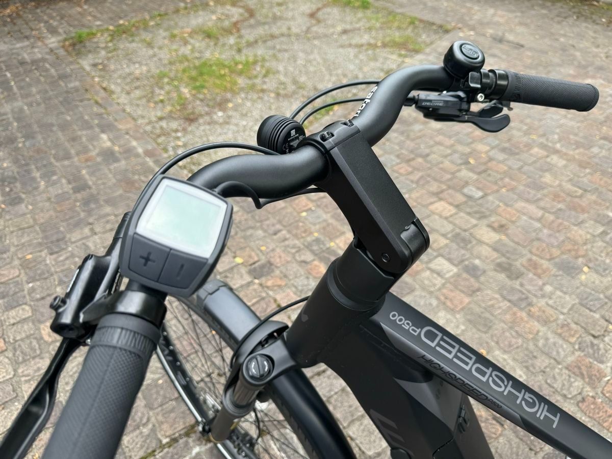 Bosch Biciclette: Ebike 45kmh WHISTLE Highspeed P500 29'' – Usato da Zürich venduto da leverdi 2