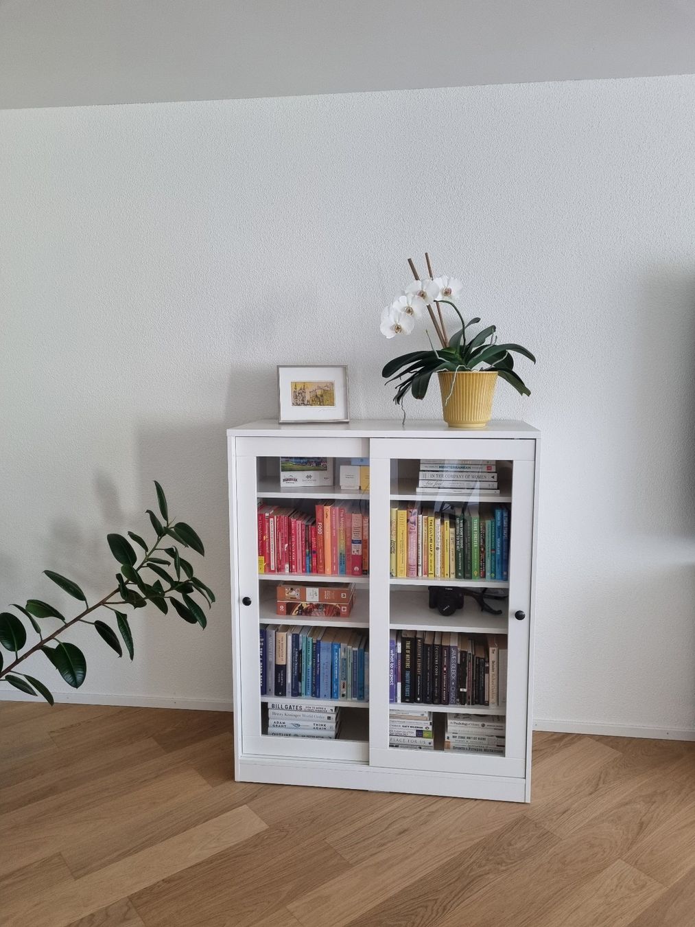Ikea Vetrine: Ikea SYVDE Vitrine/ Regal – Usato da Zürich venduto da thw_bp9v 1