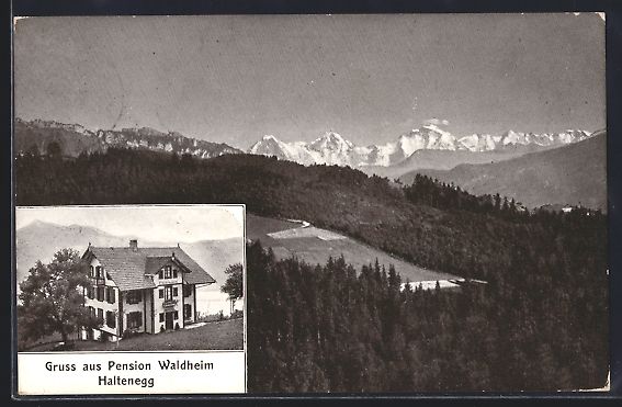 Ansichtskarten: AK Haltenegg, Pension Waldheim, Panorama – Gebraucht aus Berlin von bartko-reher