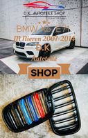BMW Nieren X6 E71 M Doppelspeichen Kühlergrill M Color Neu
