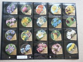 Serie  21 G      Alpenblumen              Emmi     Gastro