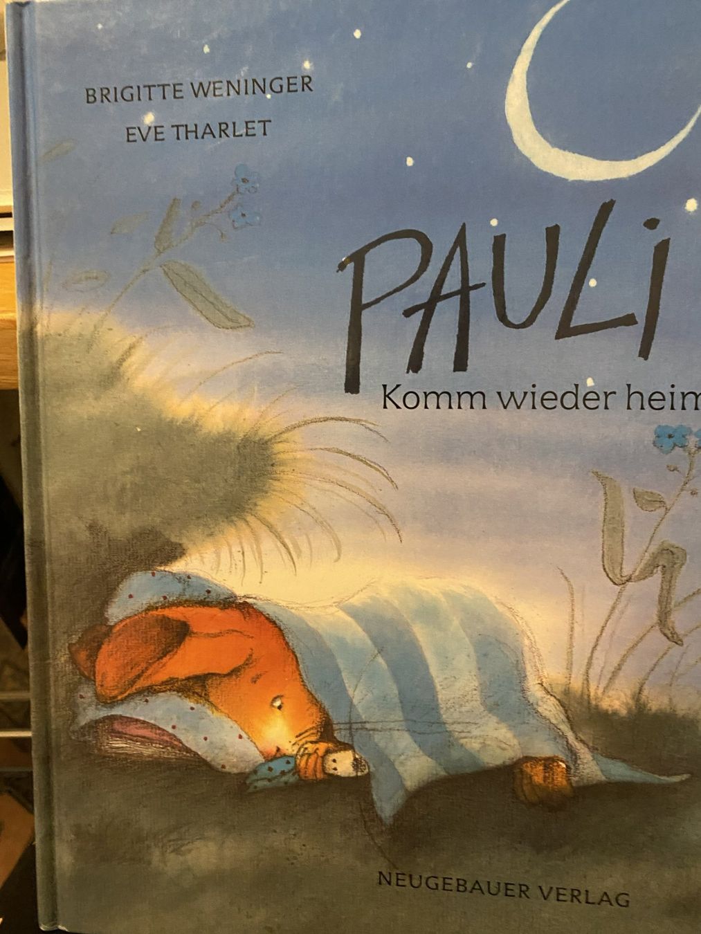 Libri: Pauli komm wieder heim ! – Nuovo (secondo la descrizione) da Sachseln venduto da basti1950