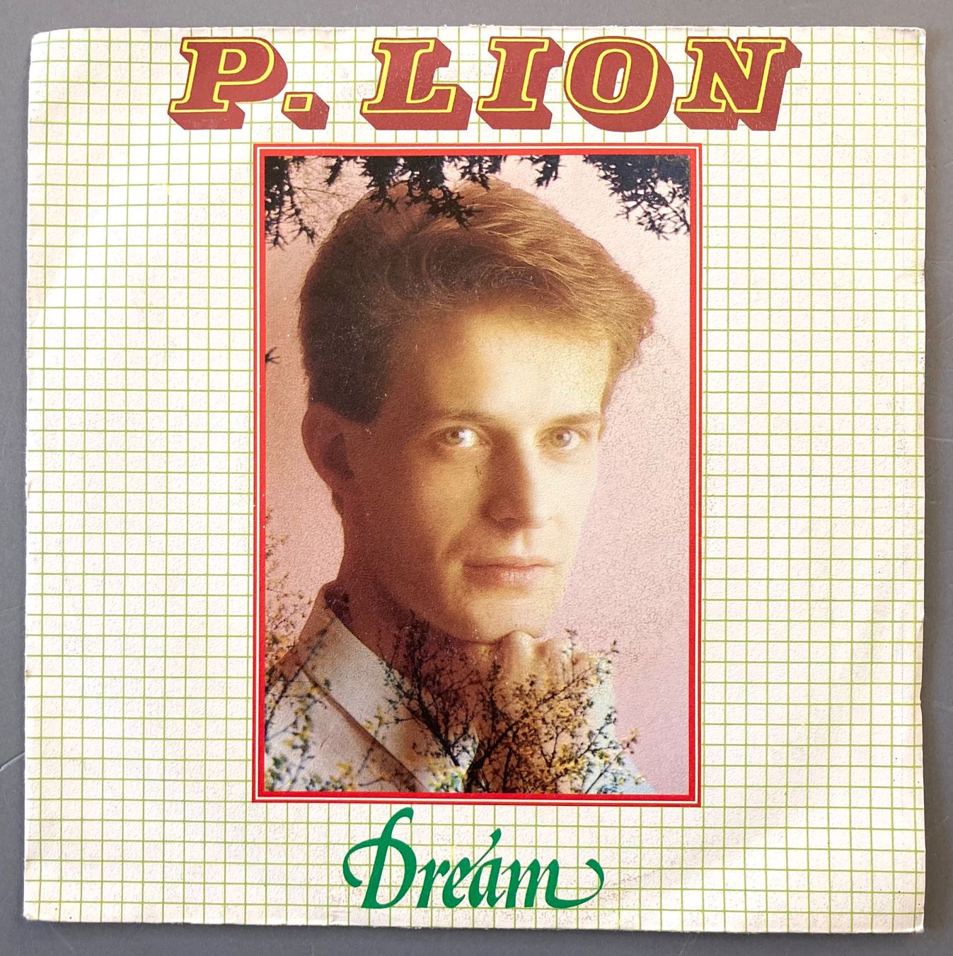 Dischi in vinile: P. LION - DREAM – Usato da Poliez-Pittet venduto da Newtown-Records