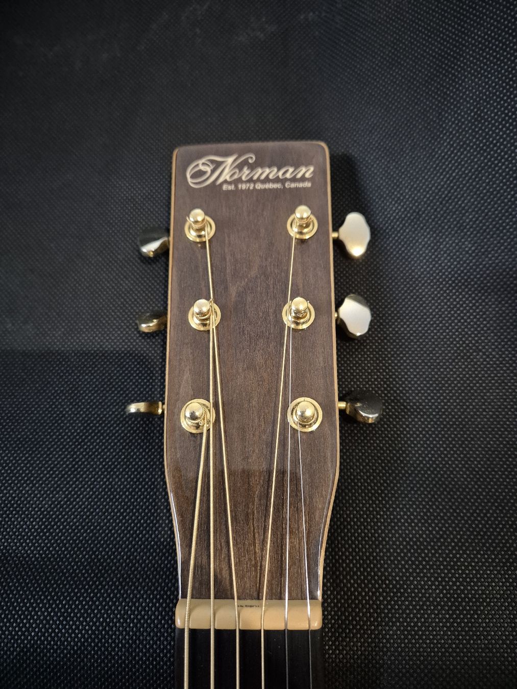 Strumenti musicali: Norman B50 Akustische Gitarre Canada – Usato da Dielsdorf venduto da 7TheRockDoc9 3
