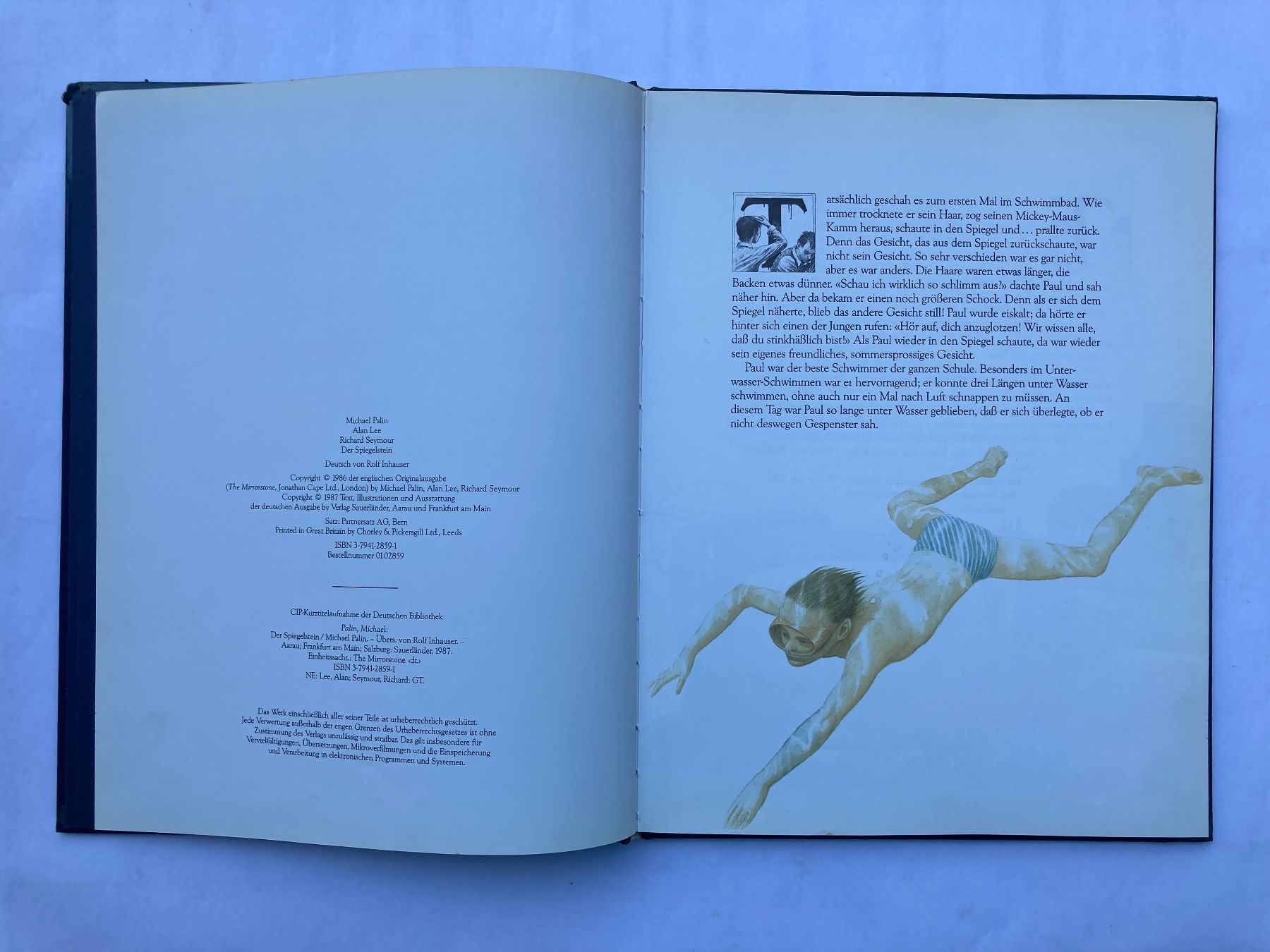 Livres: DER SPIEGELSTEIN – D'occasion à Bubendorf par Alpenheidi 3