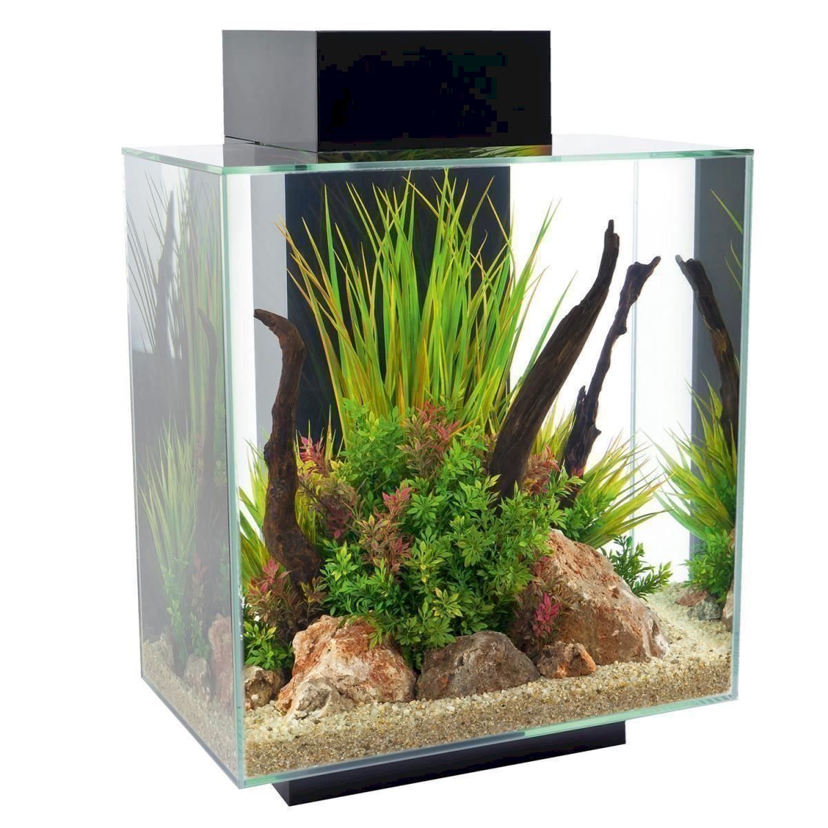 Aquarium: Fluval 15038 Edge 2.0 46l Aquarium Set – Neu und originalverpackt aus Bottighofen von zaap