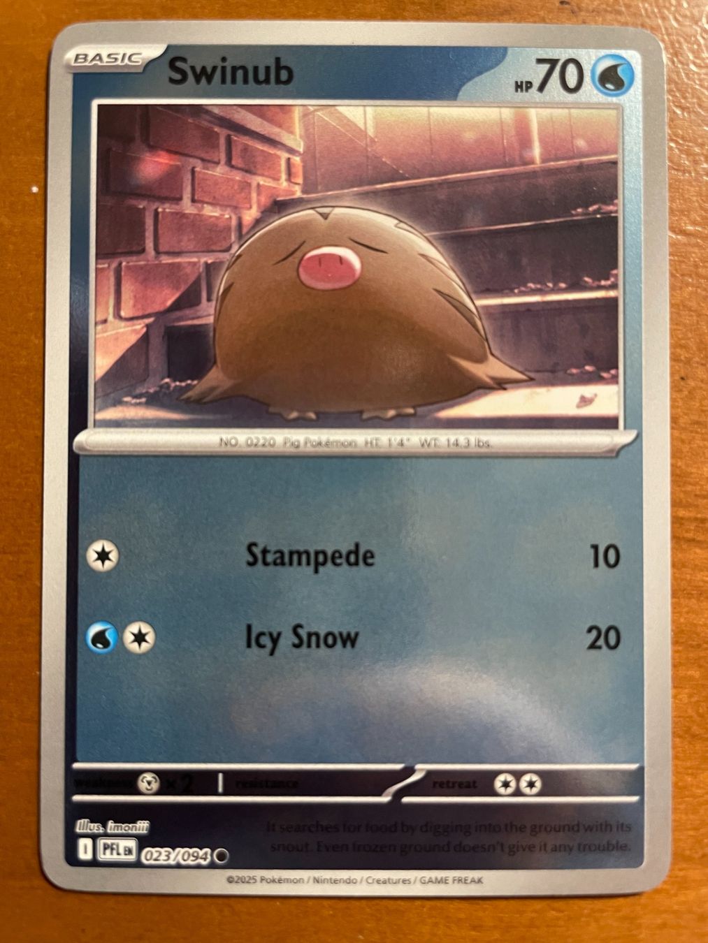 Pokémon Carte collezionabili: Pokemon Swinub Reverse (Versand gratis) – Nuovo (secondo la descrizione) da Chur venduto da Angerson