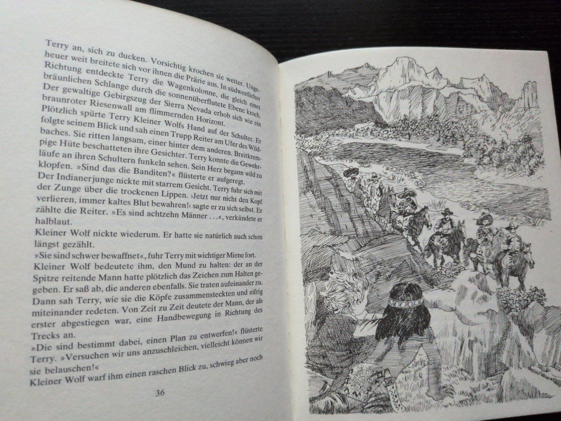 Libri: Söhne der Prärie – Nuovo (secondo la descrizione) da Ottikon venduto da sobsale 2