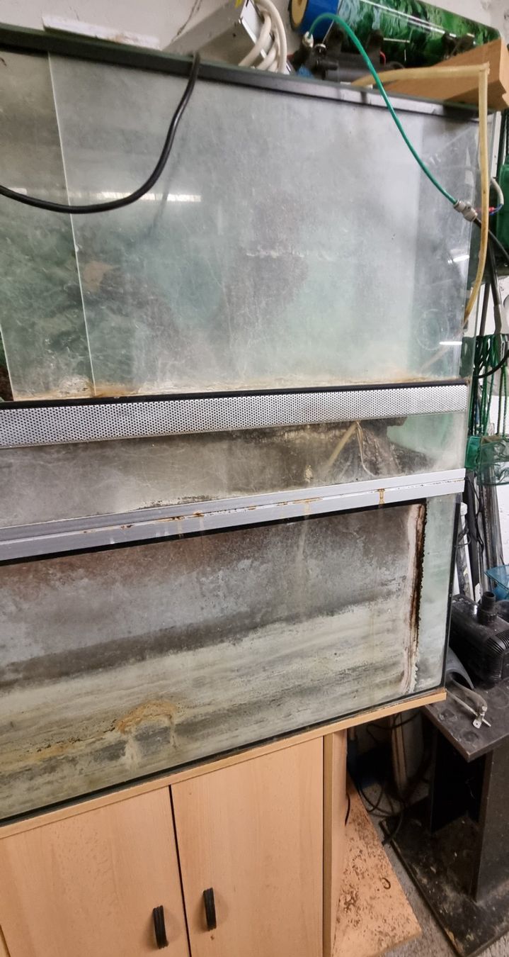 Terrario: Paludarium mit Untermöbel – Usato da Oberentfelden venduto da Myri13 2