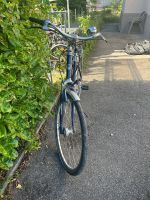 TIGRA Velo