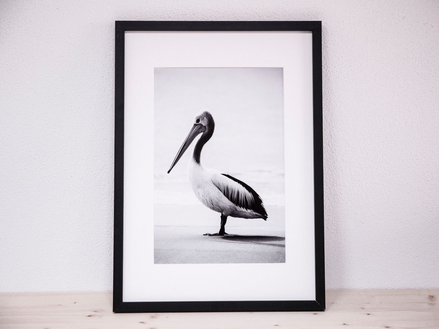 Foto & Immagini: Pelikan fine Art print – Nuovo (secondo la descrizione) da Bellinzona venduto da rcl_mt27 1