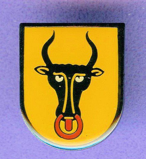 Plaketten & Abzeichen: Kantons Wappen   URI – Gebraucht aus Winterthur von Sammleroase