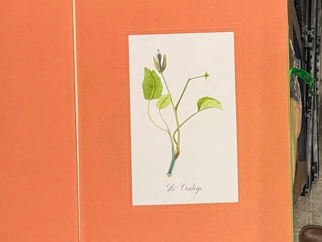 Libri: L' herbier imaginaire – Nuovo (secondo la descrizione) da Vevey venduto da yve_7dpw 5