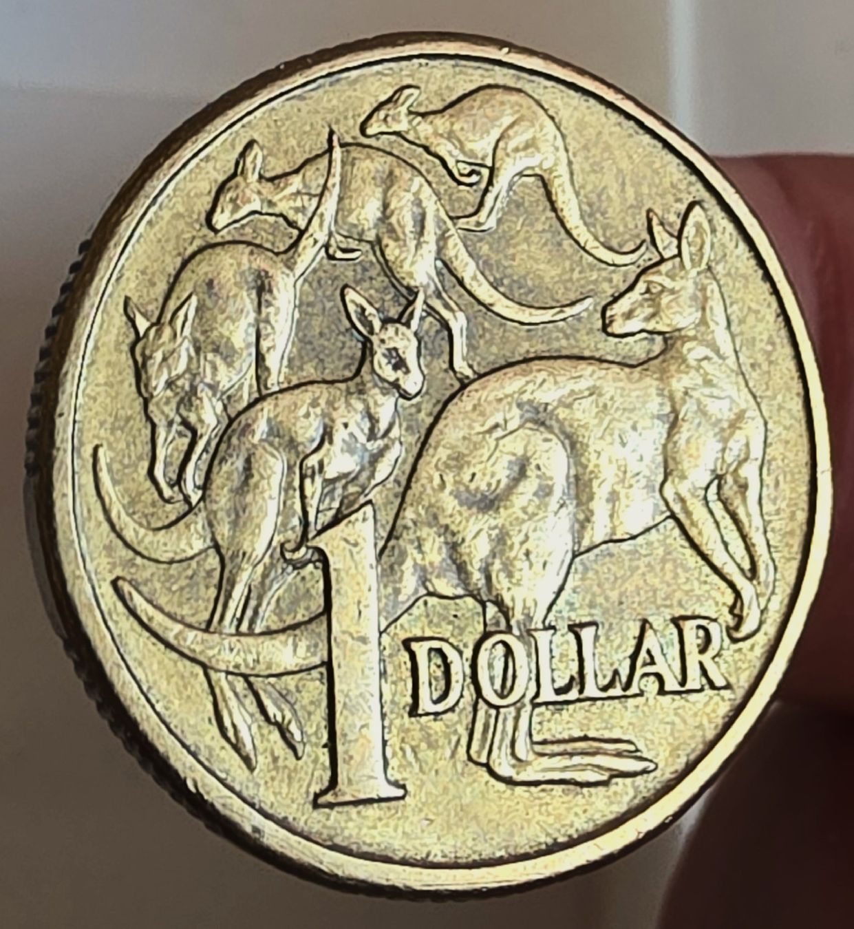 Alle Münzen: AUSTRALIEN 1 DOLLAR 1984 – Gebraucht aus winterthur von CoinPassion