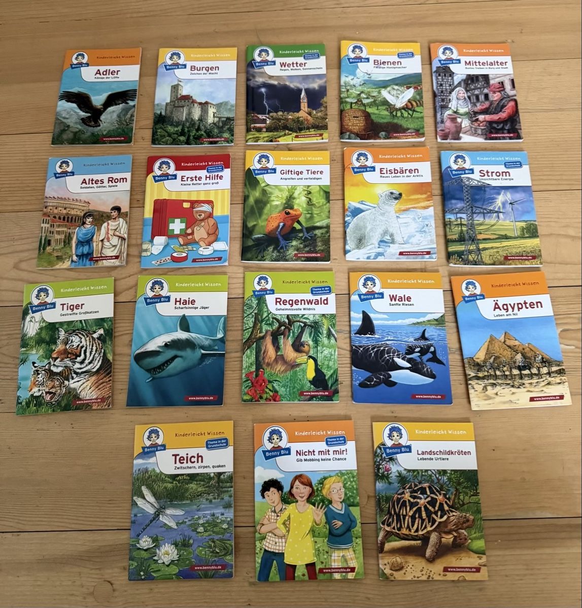 Libri: 18er Set Kinder Wissen Hefte Benny Blu  – Usato da Pratteln venduto da GinaLisa13